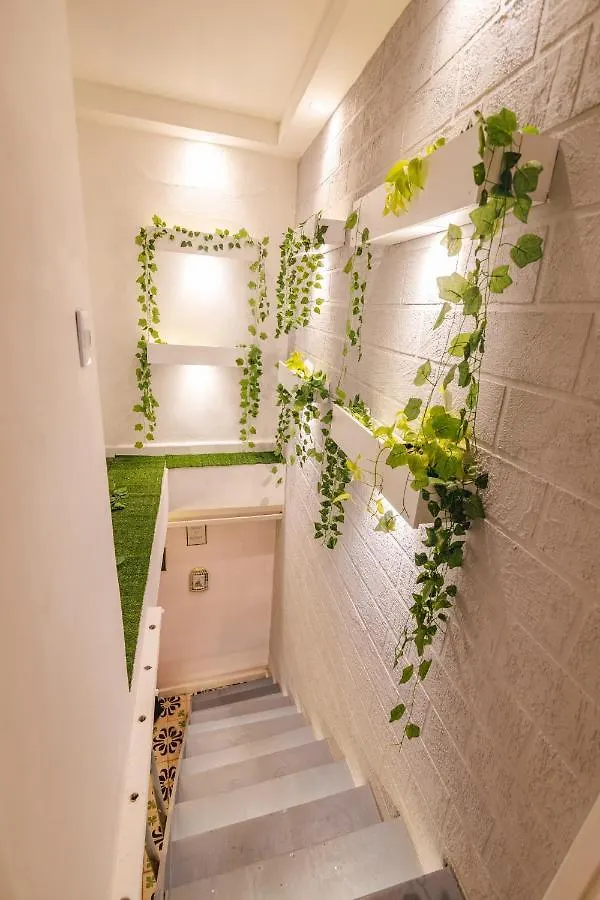 Casa Hadasa Cartagena
